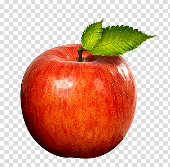 Apple Software Red, Red apple transparent background PNG clipart