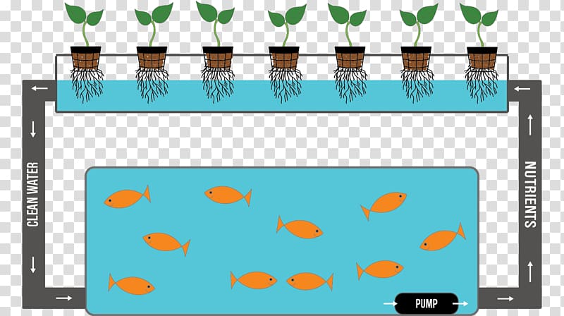 Hydroponics Nutrient Product Reuse Waste, hydroponic farming system fish transparent background PNG clipart