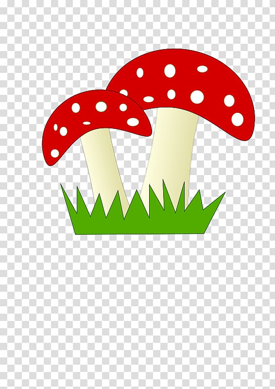 Amanita muscaria Mushroom , mushroom transparent background PNG clipart