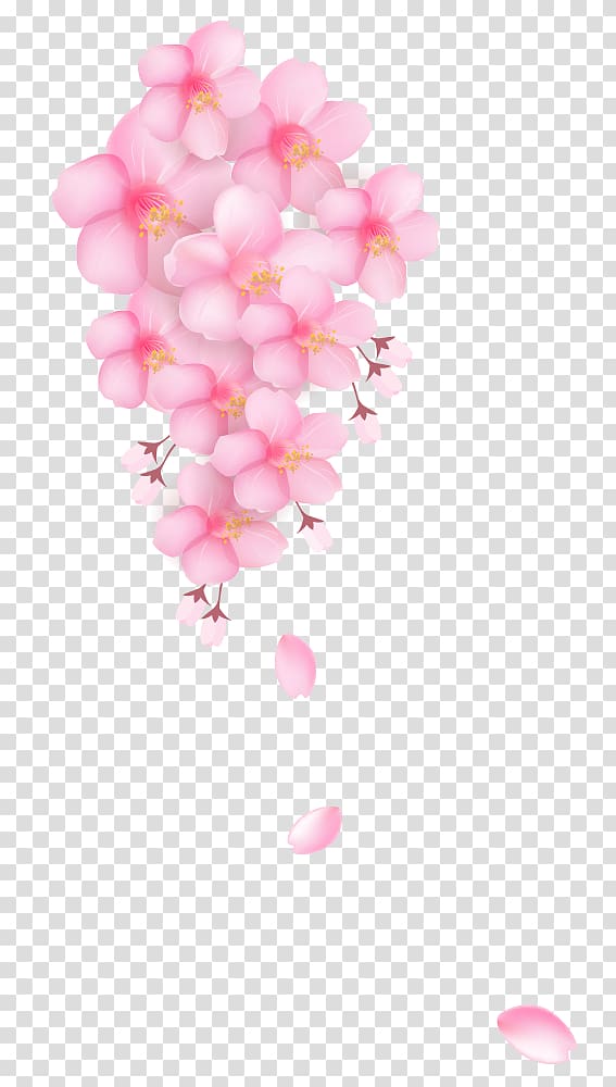 Cherry blossom , Beautiful cherry creative decorative buckle Free transparent background PNG clipart