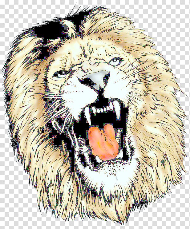 Lion Tiger Cat Roar Animal, Lion Head transparent background PNG clipart