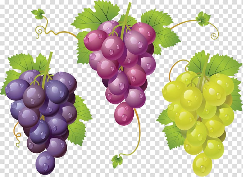 Sultana Grape Zante currant Seedless fruit, Grape transparent background PNG clipart