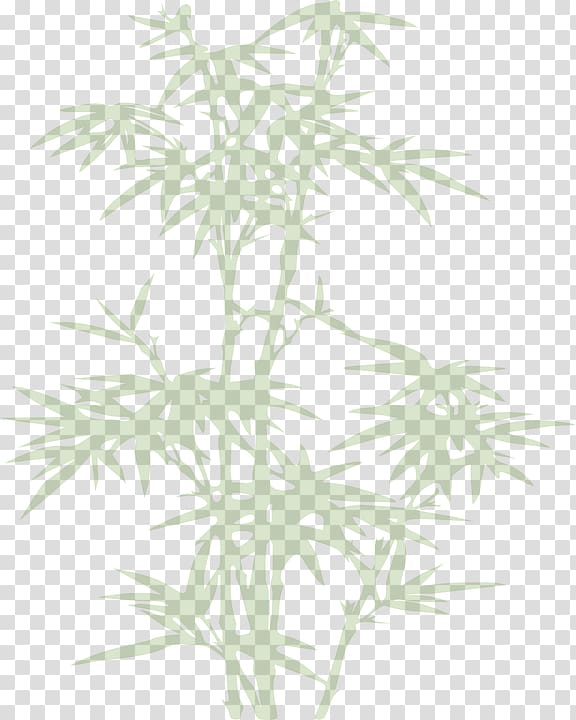 中国人是真的 , Bamboo tree transparent background PNG clipart