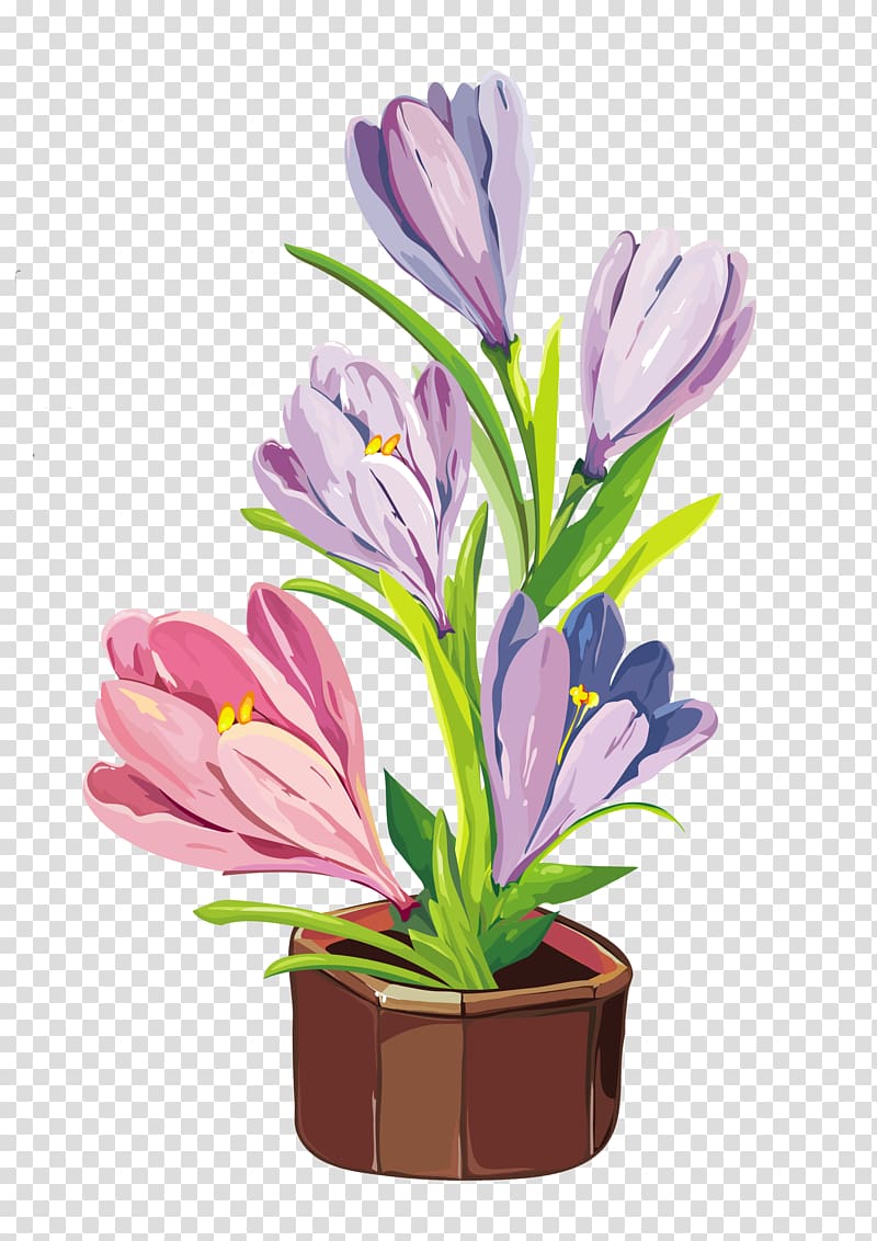pink and purple Crocus flowers, Flowerpot Crocus , Spring Crocus Pot transparent background PNG clipart
