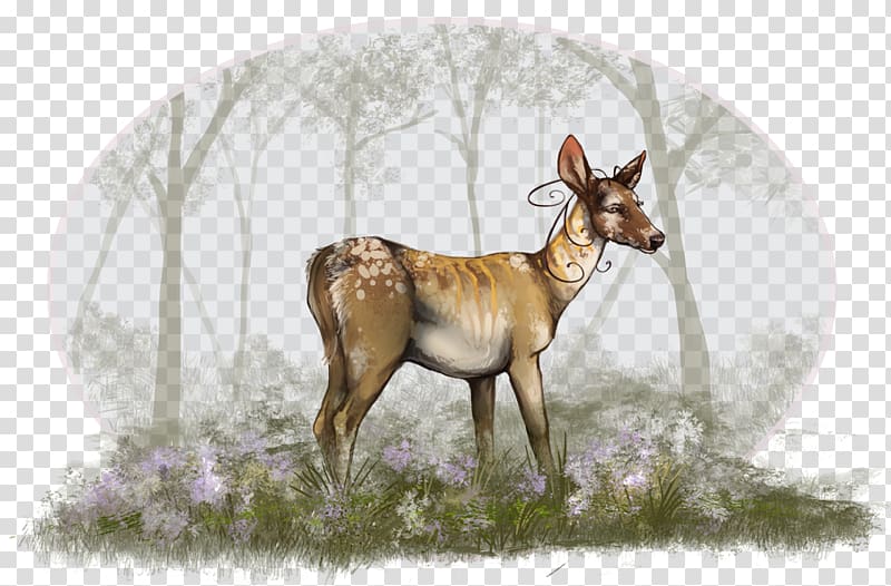 Reindeer Cattle Springbok Horn Animal, sika deer transparent background PNG clipart