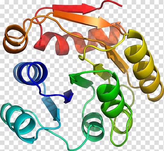 Body Jewellery , design transparent background PNG clipart