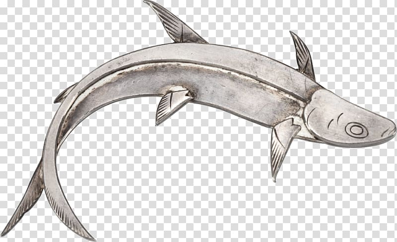 Requiem sharks Kipper Fish , fish transparent background PNG clipart
