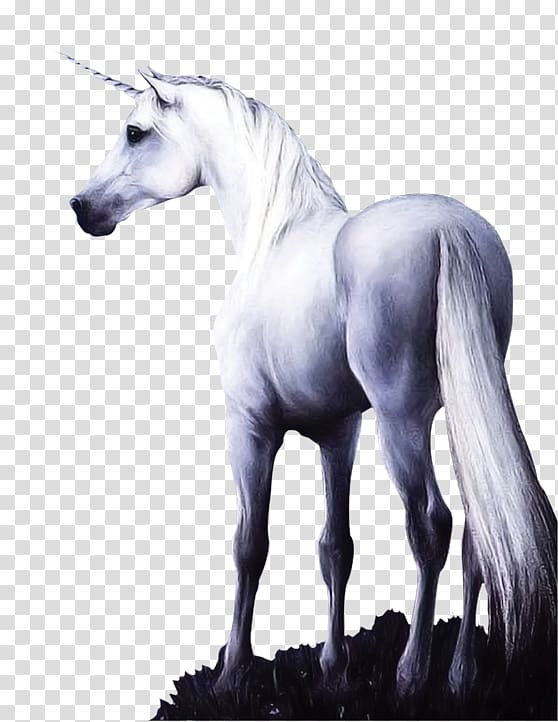 Horse Unicorn, Stone horse sculpture transparent background PNG clipart