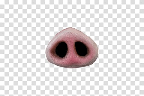 pig nose , Pig Nose transparent background PNG clipart