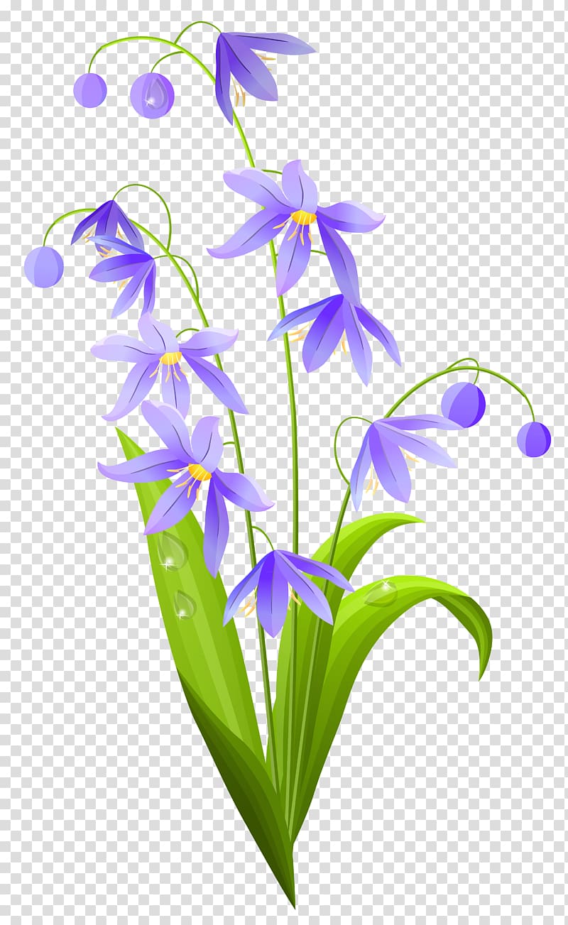 Flower Euclidean Lilium , Pink Spring Flower , purple flower transparent background PNG clipart