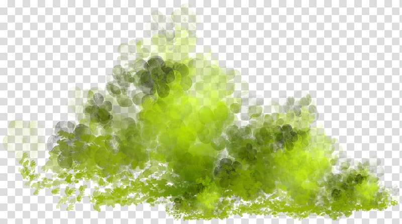 , others transparent background PNG clipart