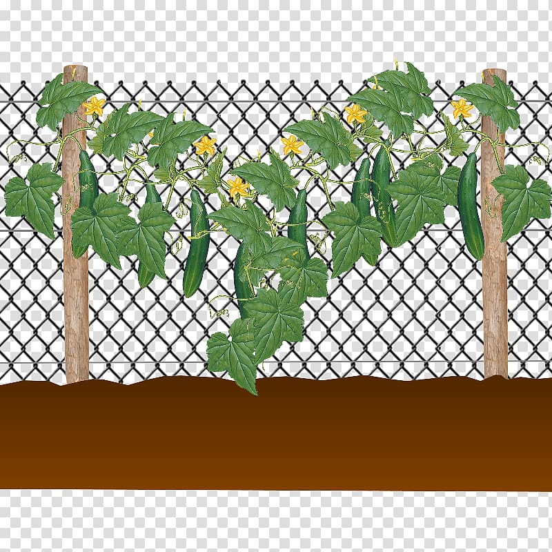 Fence Pickled cucumber Kitchen garden, Fence transparent background PNG clipart