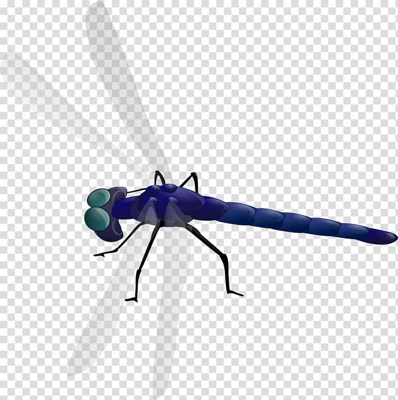 Dragonfly Drawing , Blue dragonfly flight transparent background PNG clipart