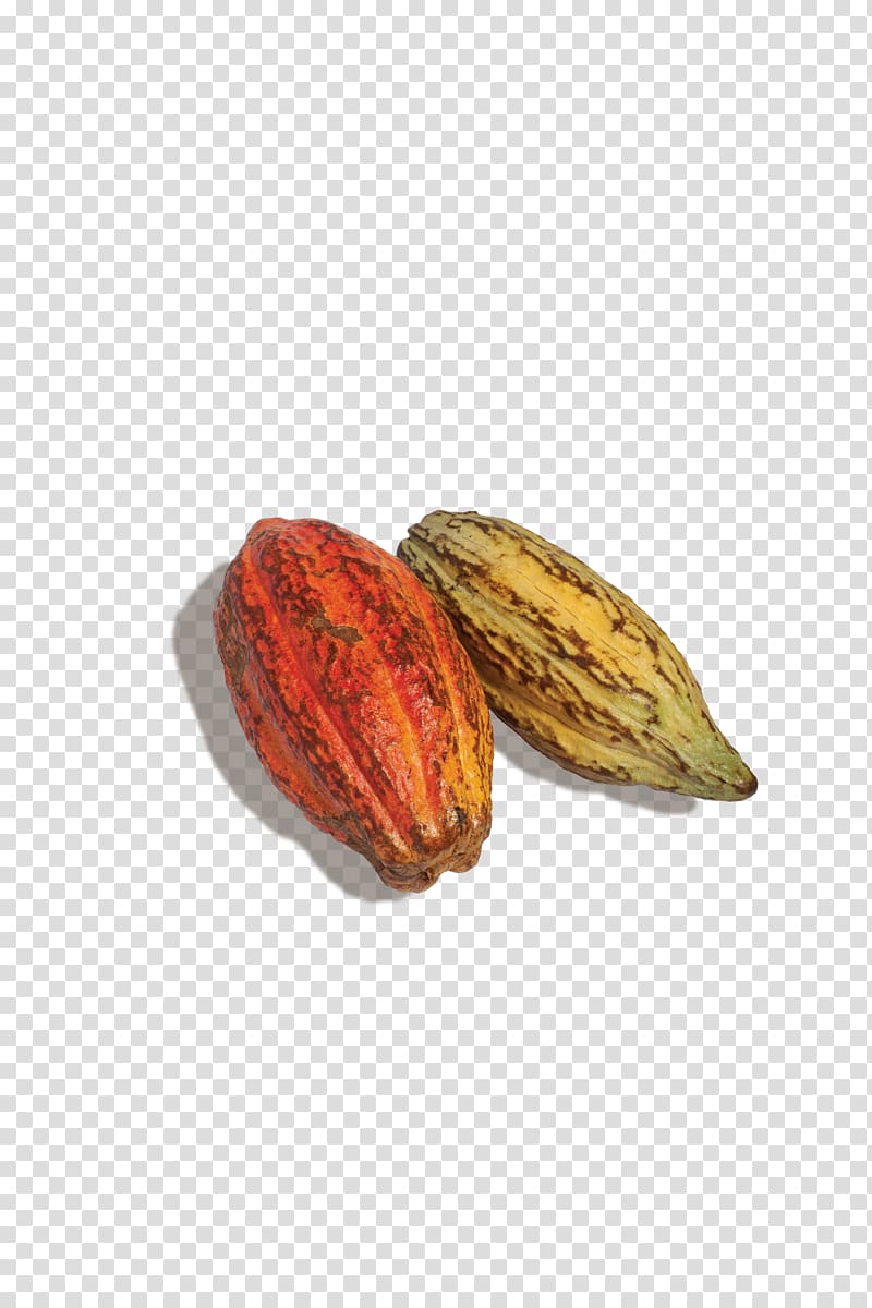 Cocoa bean Food Nut Flavan-3-ol CocoaVia, cocoa transparent background PNG clipart