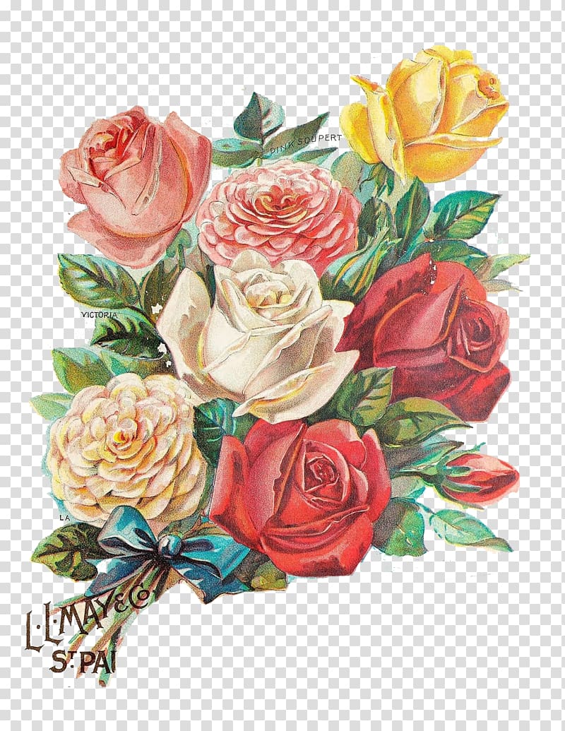 Rose Flower Illustration, Color Vintage Rose Greeting Card transparent background PNG clipart
