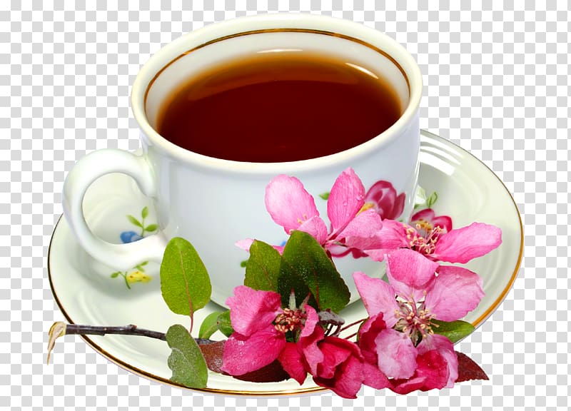 Earl Grey tea Green tea Flowering tea Mate cocido, flower tea transparent background PNG clipart