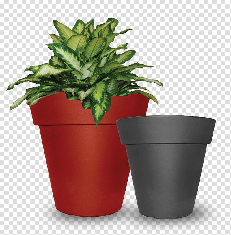 Flowerpot Tusco Products Saucer Houseplant, planter transparent background PNG clipart