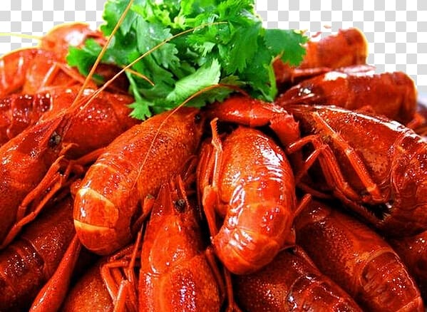 Xuyi County Siu yeh Palinurus elephas Lobster Sichuan cuisine, Lobster with coriander transparent background PNG clipart