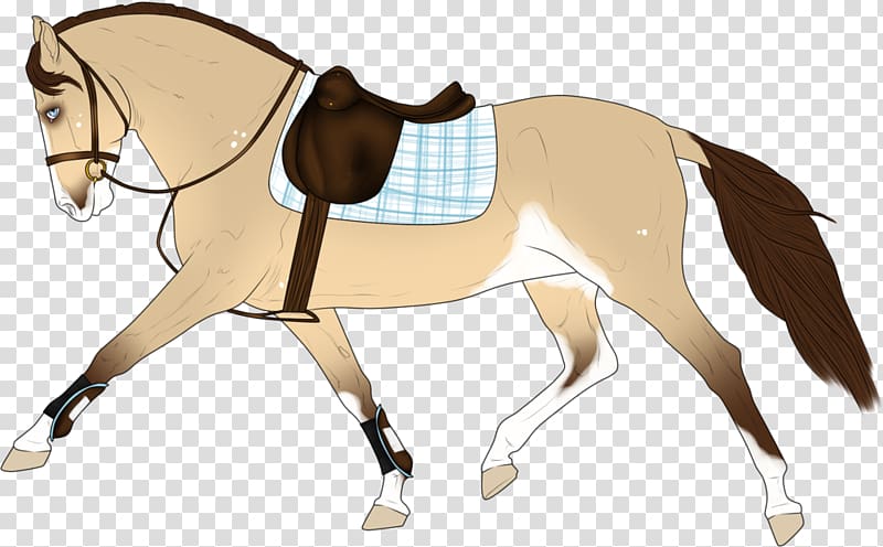 Mule English riding Bridle Pony Saddle, Western Saddle transparent background PNG clipart