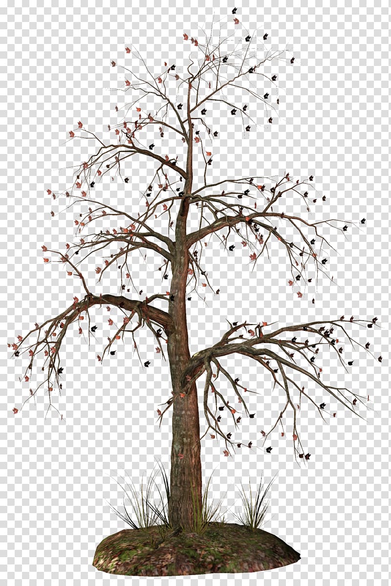 bare tree artwork illustration, Tree , Dead Tree transparent background PNG clipart
