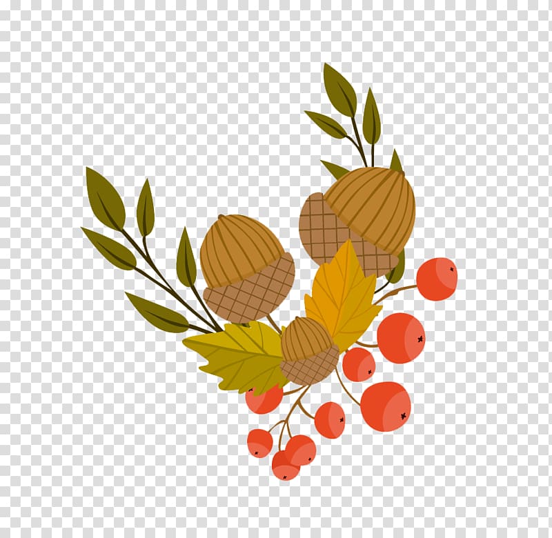 Autumn leaf color Illustration, Acorn transparent background PNG clipart