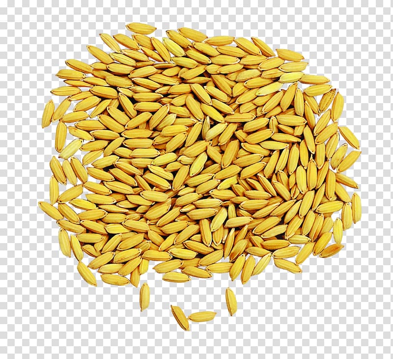 Hybrid rice Cereal Grain drying Oryza sativa, A pile of rice transparent background PNG clipart