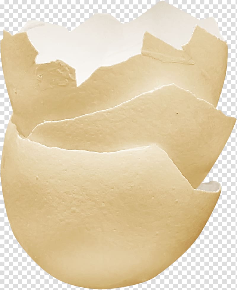 Bird Eggshell, eggshell transparent background PNG clipart | HiClipart