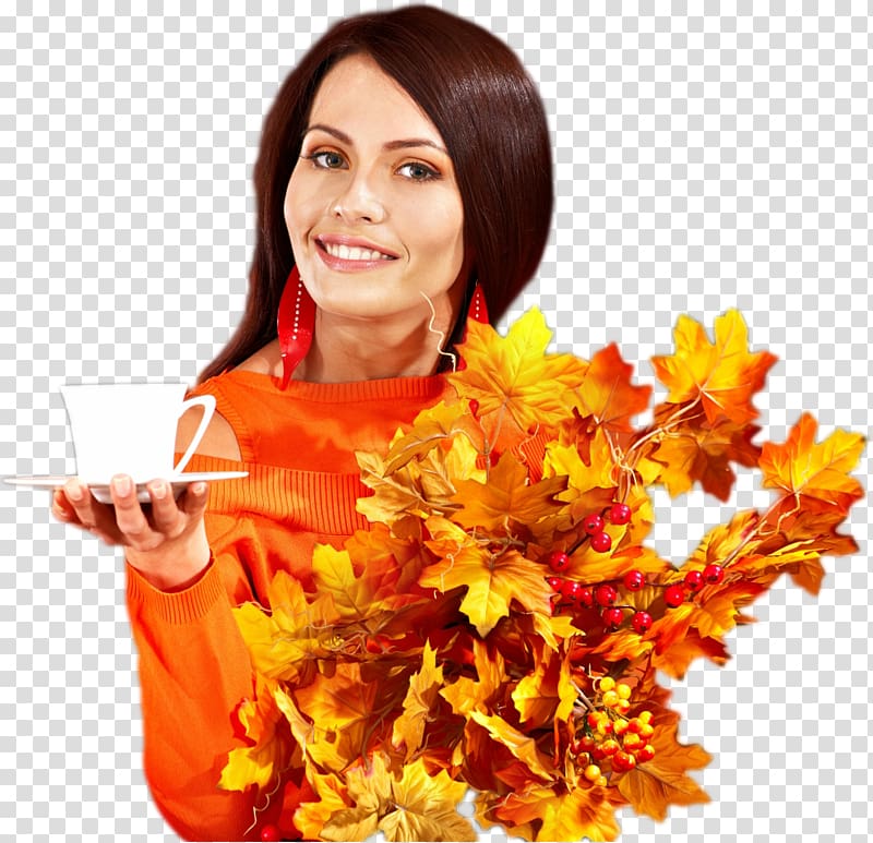 Morning Daytime Animation Dawn, autumn transparent background PNG clipart