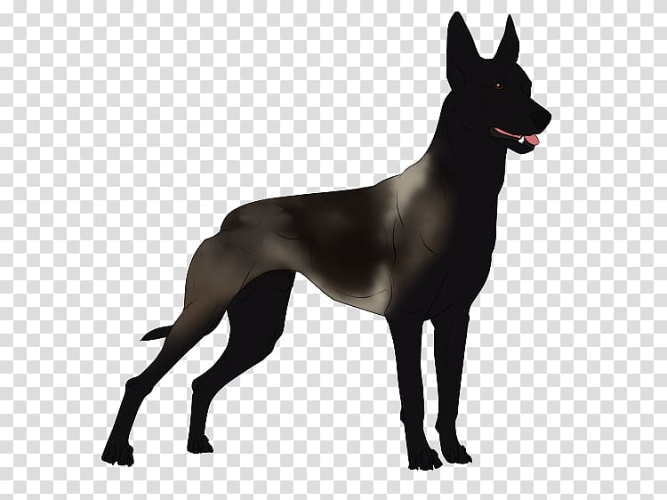 Great Dane Dog breed Non-sporting group Guard dog Breed group (dog), malinois transparent background PNG clipart