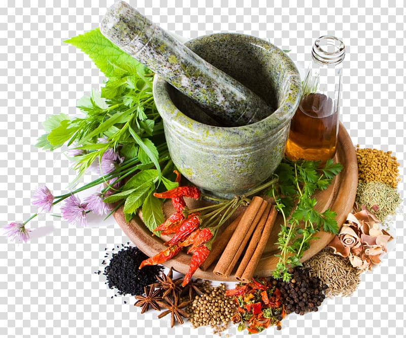 Herbalism Medicine Pharmaceutical drug Alternative Health Services, health transparent background PNG clipart