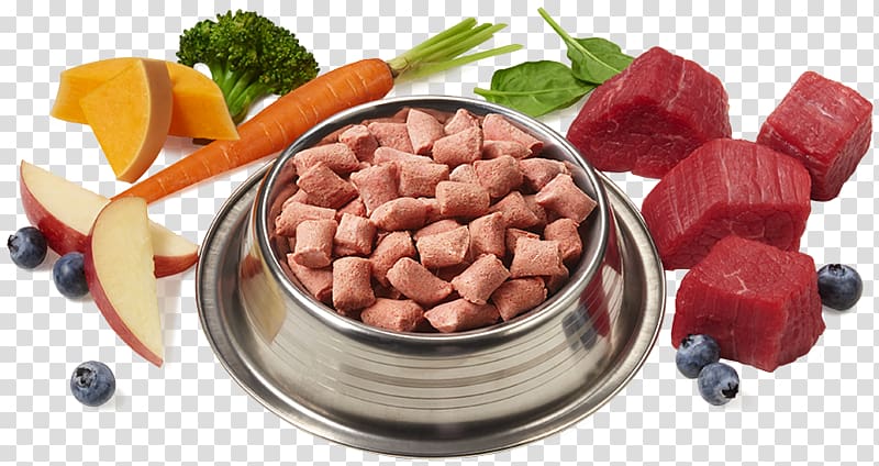 Vegetarian cuisine Raw foodism Dog Cat Food, cat bowl transparent background PNG clipart