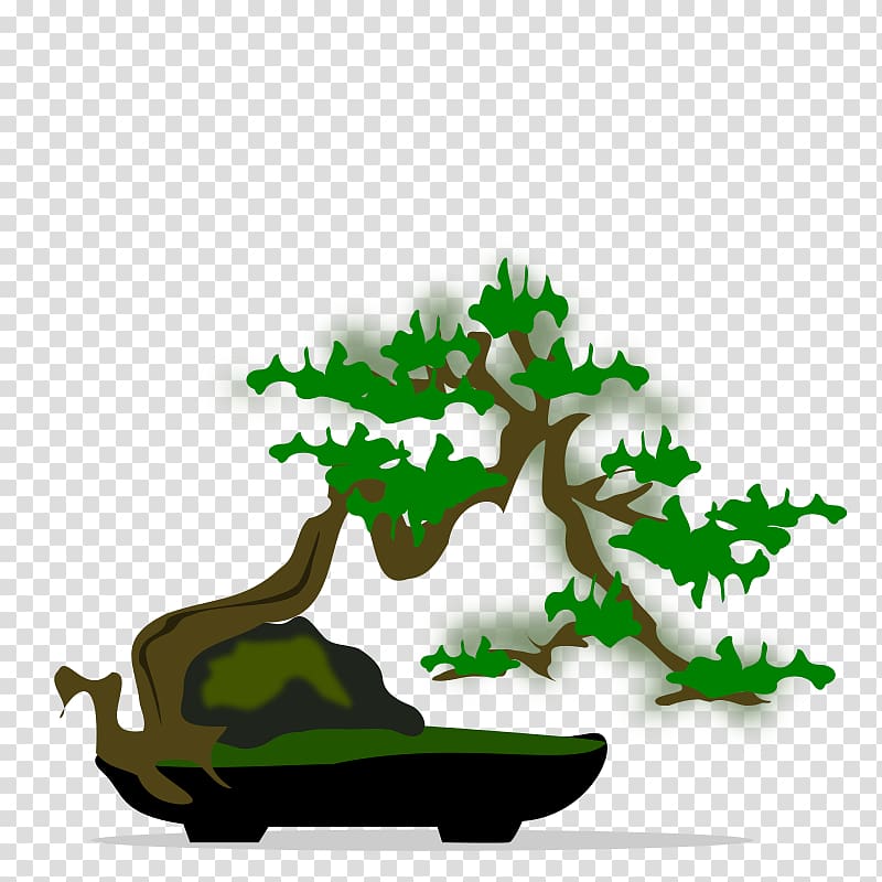 National Bonsai Foundation Tree , bonsai transparent background PNG clipart