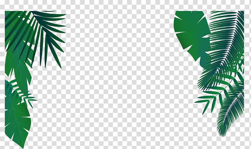 green leaves illustration, Leaf Euclidean Arecaceae, Green palm leaf decoration transparent background PNG clipart