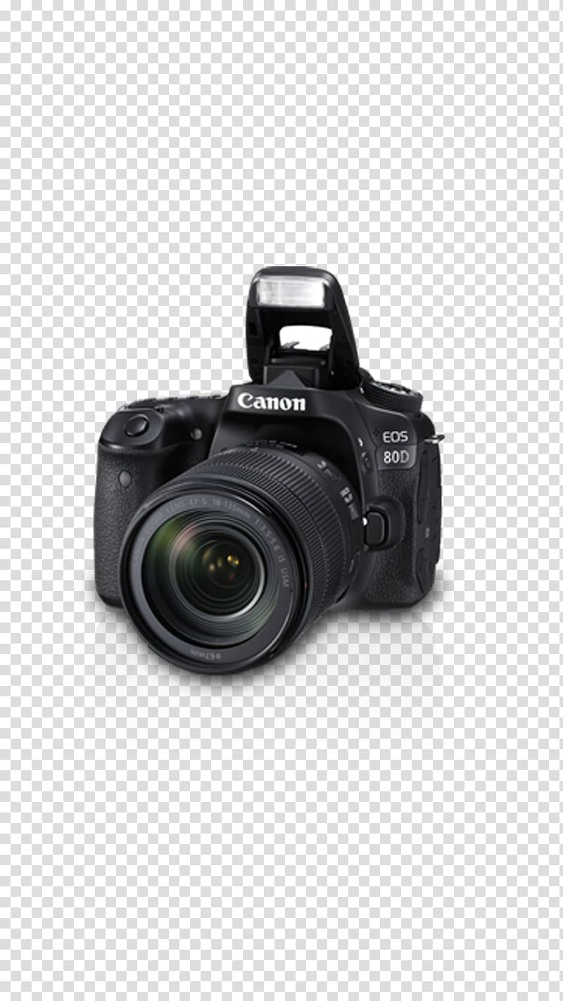 Canon EOS 80D Canon EF-S 18–135mm lens Digital SLR Canon EF lens mount, Camera transparent background PNG clipart