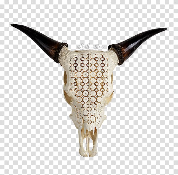 Horn Skull Cattle Bison antiquus Water buffalo, skull transparent background PNG clipart