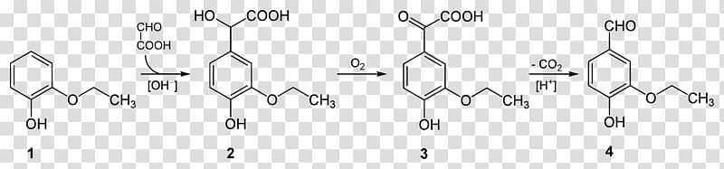 Ethylvanillin Organic chemistry Chemical reaction Condensation reaction, Ethylvanillin transparent background PNG clipart