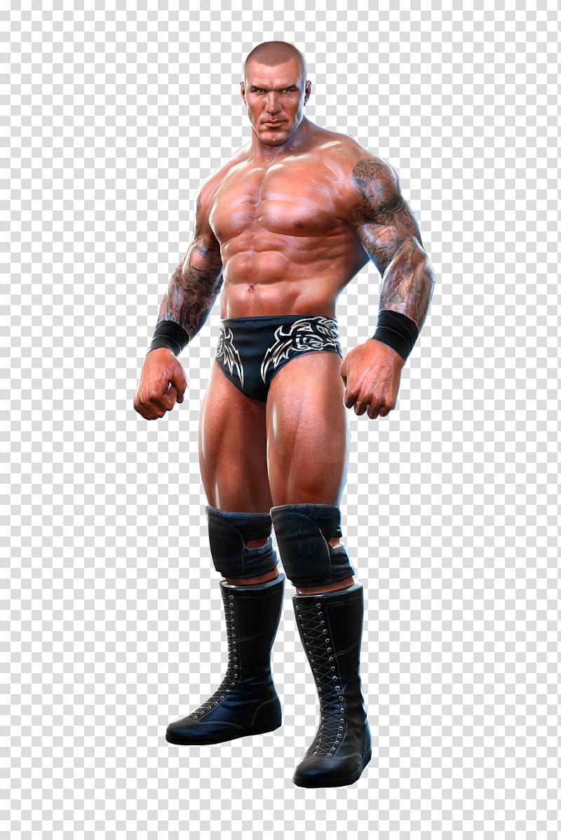 WWE All Stars WWE SmackDown! vs. Raw WWE SmackDown vs. Raw 2011 Xbox 360 PlayStation 3, randy orton transparent background PNG clipart