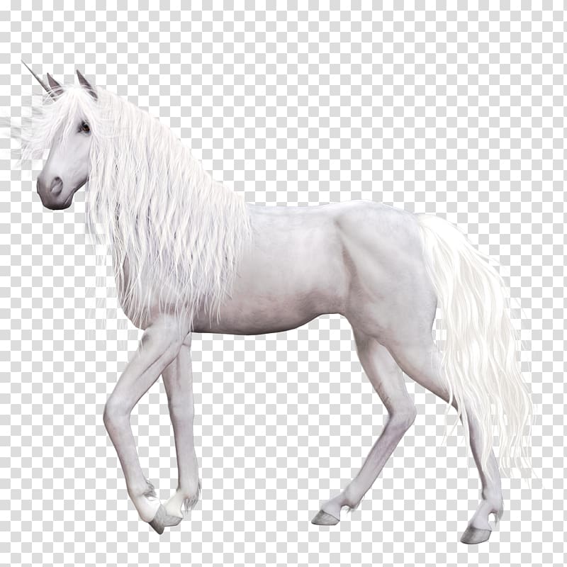 Horse Unicorn Pegasus , Unicorn background transparent background PNG clipart