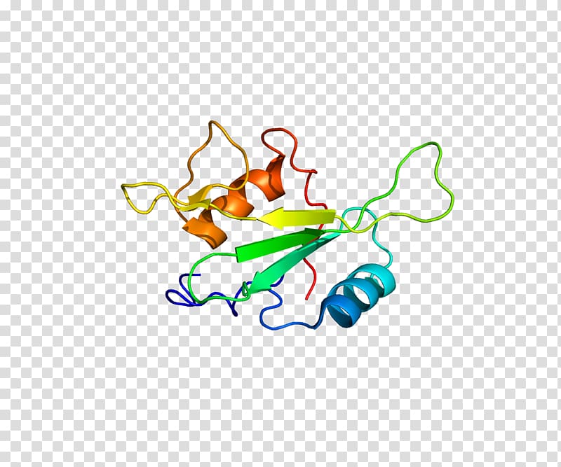 Protein Data Bank Non-receptor tyrosine kinase FERM domain, bmx transparent background PNG clipart