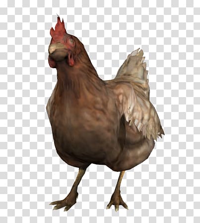 Counter-Strike: Global Offensive Leghorn chicken Ixworth chicken Hen Counter-Strike 1.6, others transparent background PNG clipart