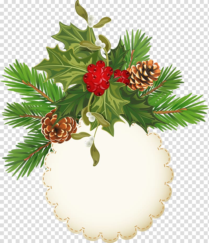 Pine Conifer cone Christmas ornament , Pine cone frame transparent background PNG clipart