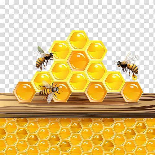 Western honey bee Honeycomb Insect, bee transparent background PNG clipart