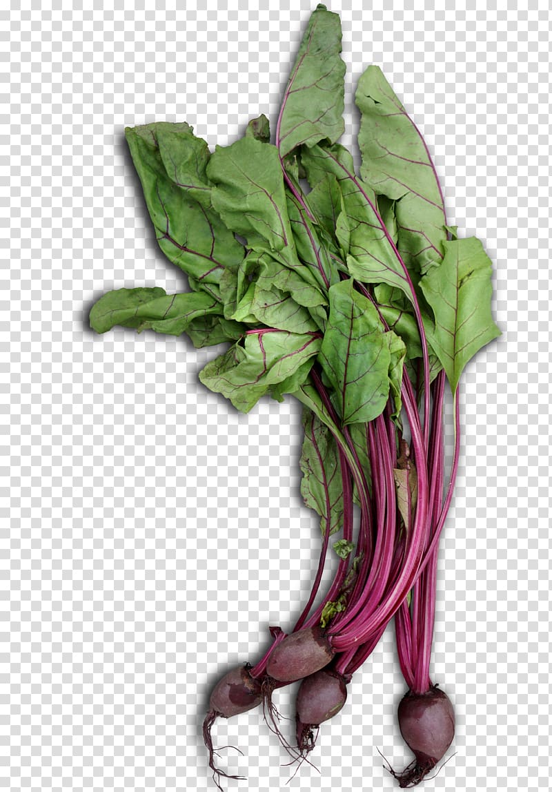 Chard Spring greens Spinach Collard greens Garden rhubarb, Green vegetables transparent background PNG clipart