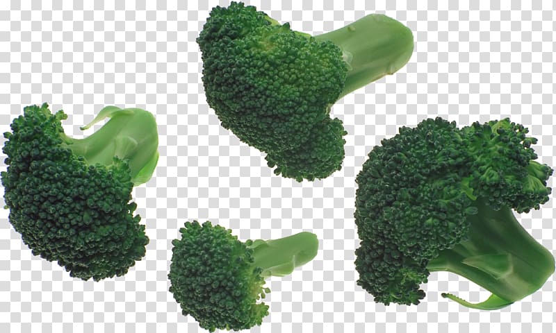 Broccoli slaw Vegetable, Broccoli transparent background PNG clipart