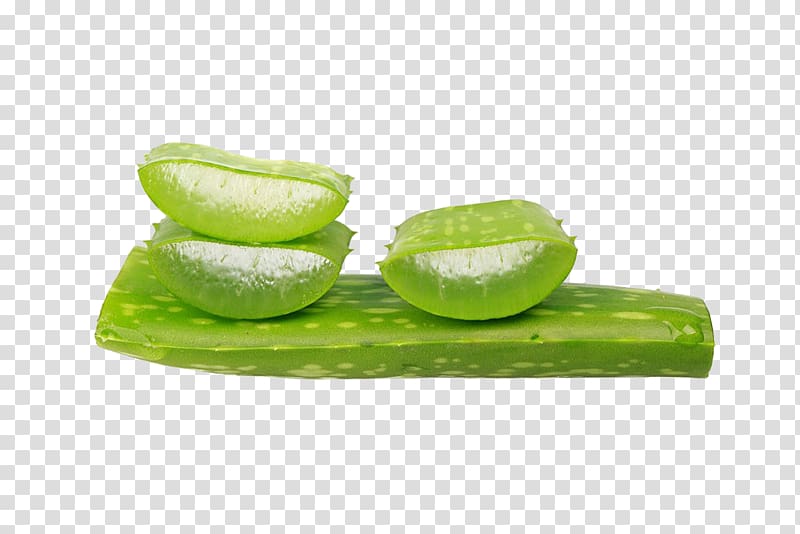 Aloe vera Gel, Aloe slices transparent background PNG clipart