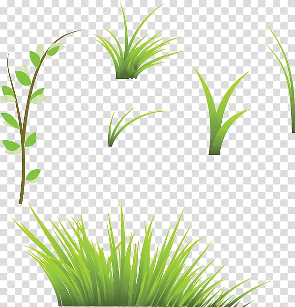 Lawn , Grass transparent background PNG clipart