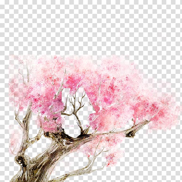 Cherry blossom, Ink cherry transparent background PNG clipart