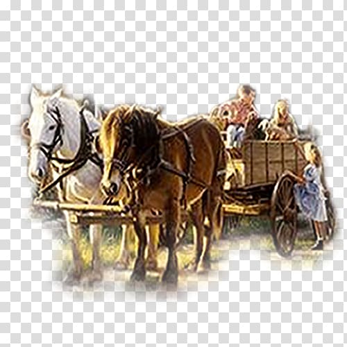 Horse and buggy Horse Harnesses Chariot Cart, Carriage transparent background PNG clipart