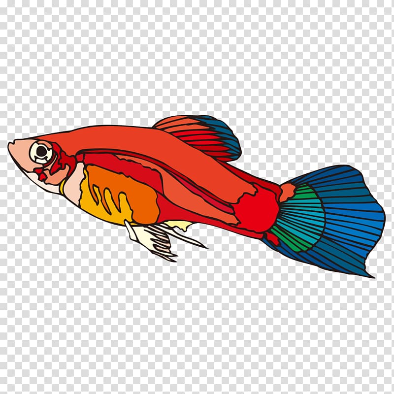 Cartoon Fish Guppy, Cartoon fish transparent background PNG clipart