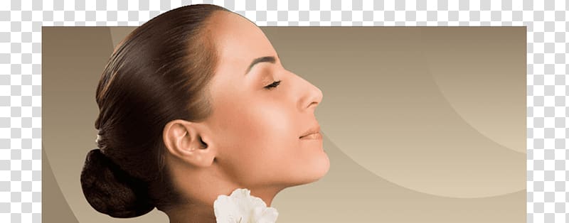 Salon 24 Beauty Parlour Hairdresser Ipswich Eyelash, spa beauty treatments transparent background PNG clipart